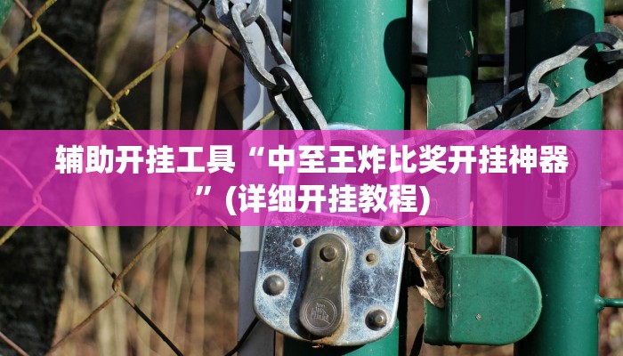 辅助开挂工具“中至王炸比奖开挂神器”(详细开挂教程)