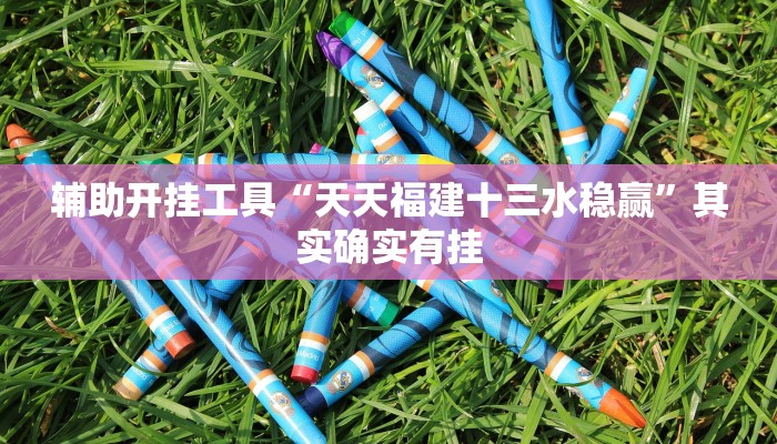 辅助开挂工具“天天福建十三水稳赢”其实确实有挂