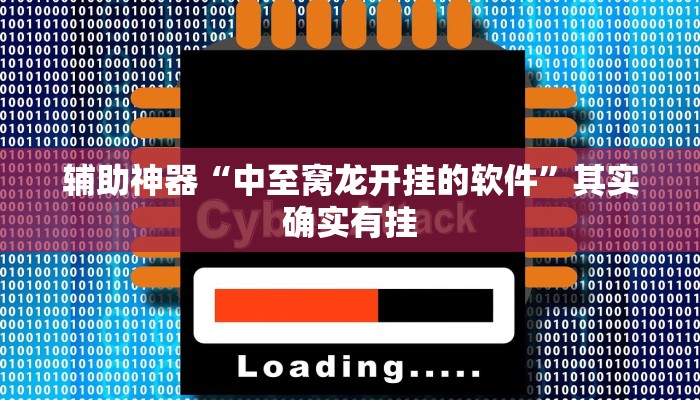 辅助神器“中至窝龙开挂的软件”其实确实有挂