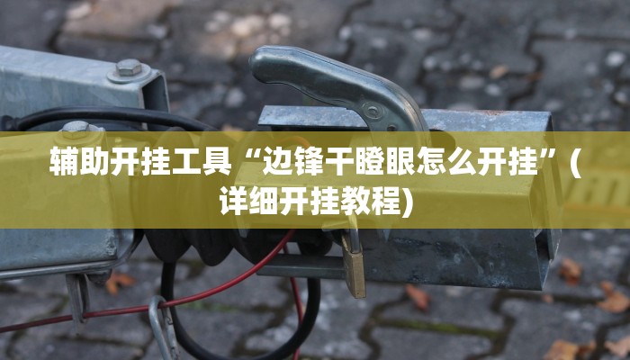 辅助开挂工具“边锋干瞪眼怎么开挂”(详细开挂教程)