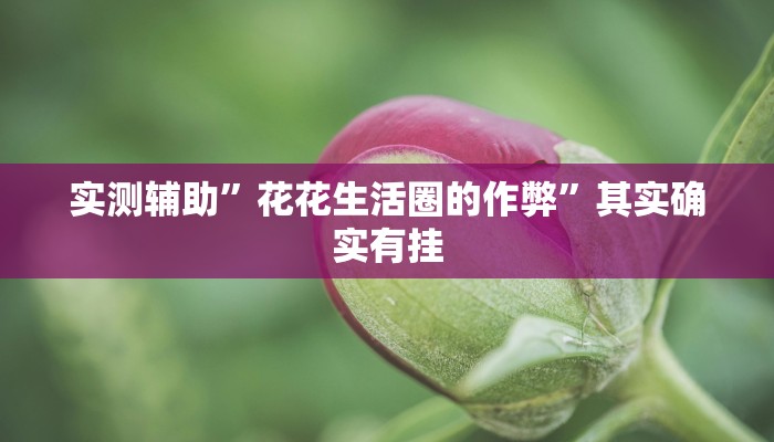 实测辅助”花花生活圈的作弊”其实确实有挂