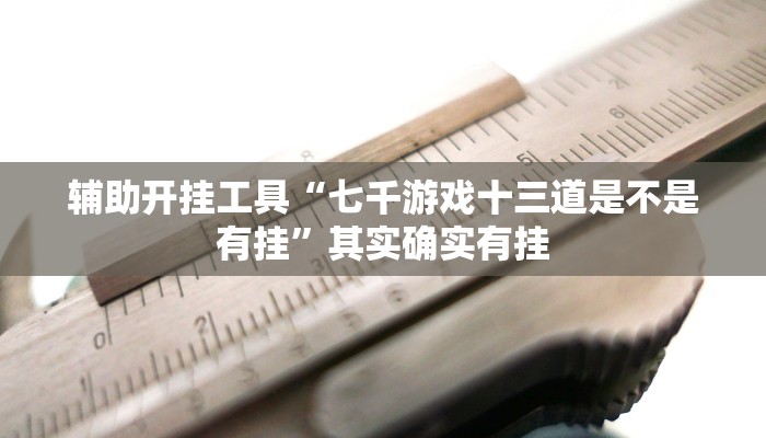 辅助开挂工具“七千游戏十三道是不是有挂”其实确实有挂