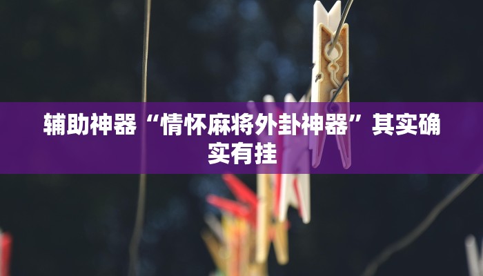 辅助神器“情怀麻将外卦神器”其实确实有挂