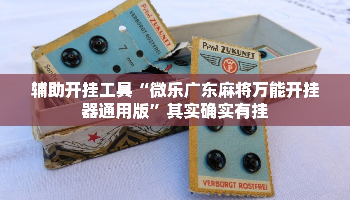 辅助开挂工具“微乐广东麻将万能开挂器通用版”其实确实有挂